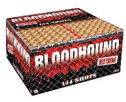 Bloodhound