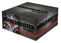 Bürgermeister